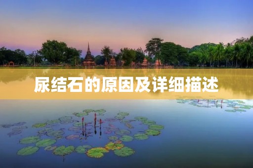 尿结石的原因及详细描述
