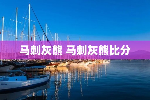 马刺灰熊 马刺灰熊比分 马刺灰熊 马刺灰熊比分