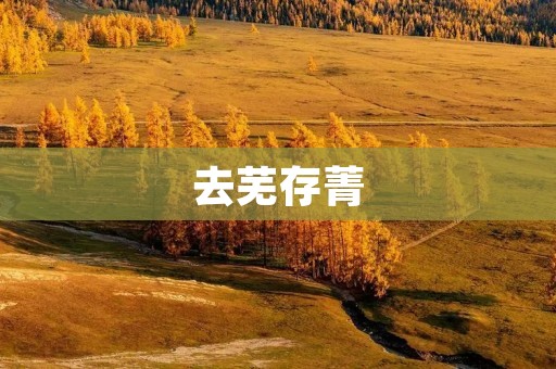 去芜存菁:提升效率,实现高质量发展