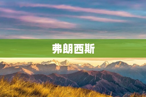 弗朗西斯：绘画艺术中的天才