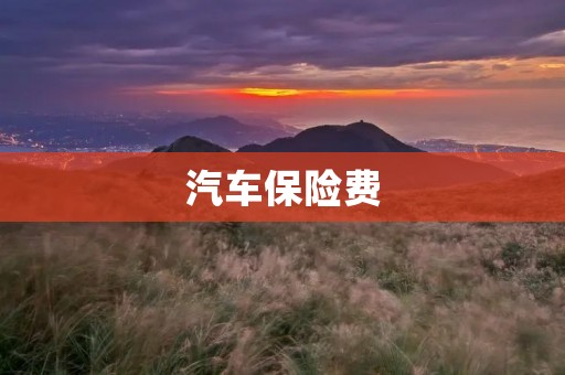 汽车保险费:如何合理控制和降低? 汽车保险费:如何合理控制和降低?