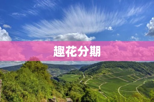 趣花分期:让生活更有趣的消费方式