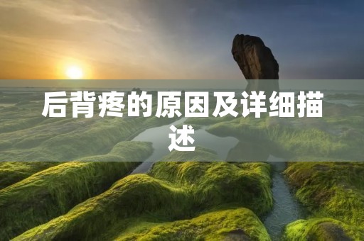 后背疼的原因及详细描述