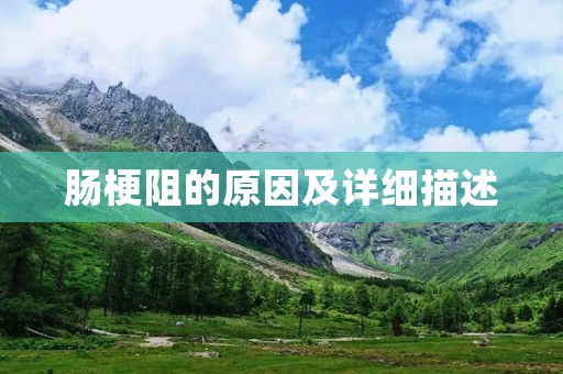 肠梗阻的原因及详细描述