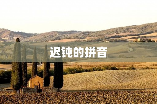 迟钝的拼音:独特而富有魅力的语言特点