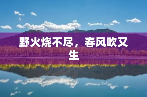 野火烧不尽,春风吹又生