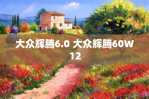 大众辉腾6.0 大众辉腾60W12