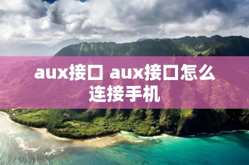aux接口 aux接口怎么连接手机 aux接口 aux接口怎么连接手机