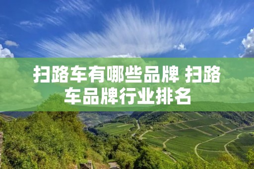 扫路车有哪些品牌 扫路车品牌行业排名 扫路车有哪些品牌 扫路车品牌行业排名