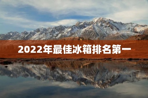 2022年最佳冰箱排名第一：解析冰箱市场的领军者
