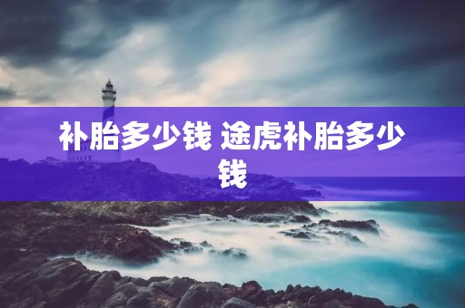 补胎多少钱 途虎补胎多少钱