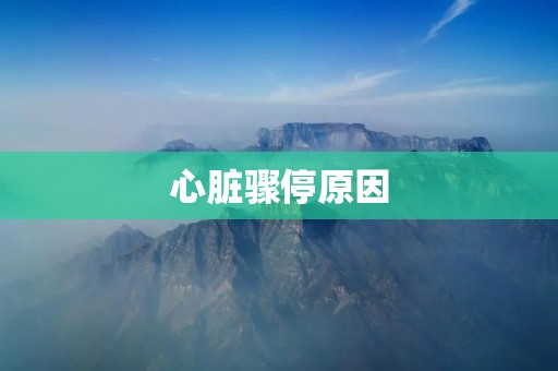 心脏骤停原因：探究生命危机的根源