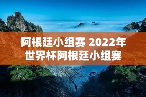阿根廷小组赛 2022年世界杯阿根廷小组赛