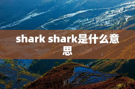 shark shark是什么意思 shark shark是什么意思