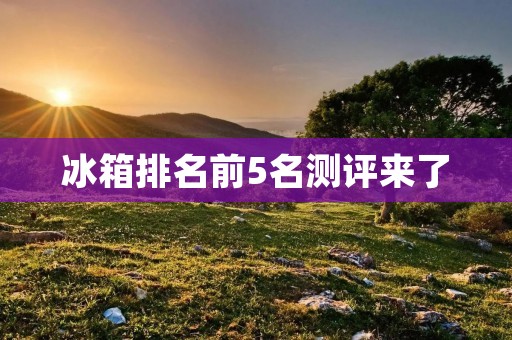 冰箱排名前5名测评来了:哪款冰箱是您的首选? 冰箱排名前5名测评来了:哪款冰箱是您的首选?
