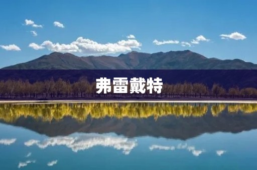 弗雷戴特:探索人类智慧的新纪元 弗雷戴特:探索人类智慧的新纪元