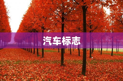汽车标志:独特设计与品牌辨识 汽车标志:独特设计与品牌辨识