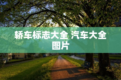 轿车标志大全 汽车大全图片