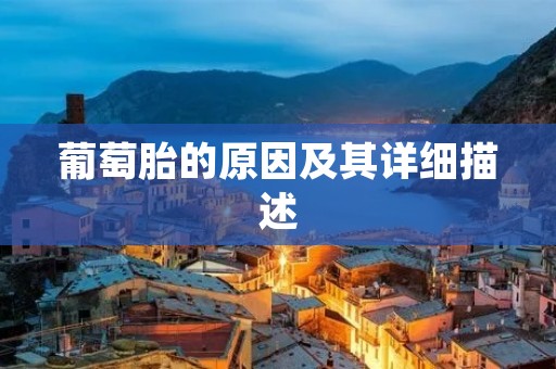 葡萄胎的原因及其详细描述