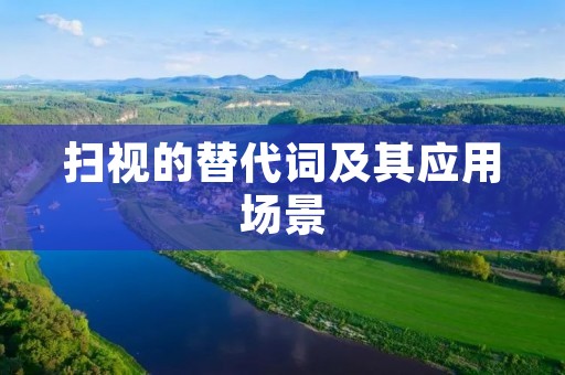 扫视的替代词及其应用场景