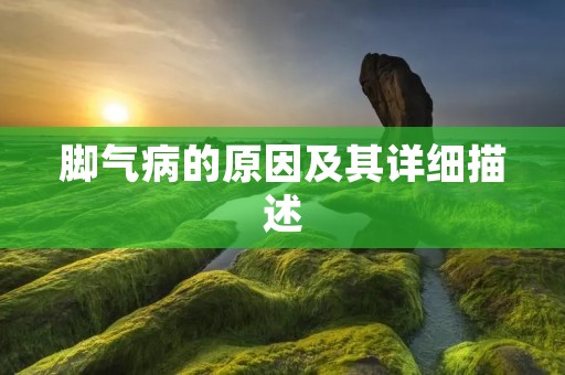脚气病的原因及其详细描述