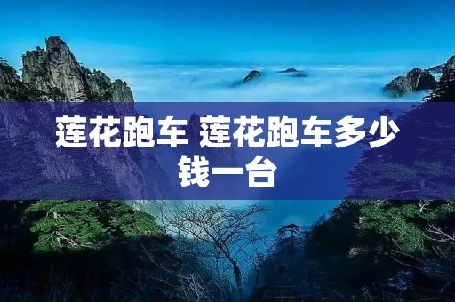 莲花跑车 莲花跑车多少钱一台