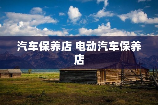 汽车保养店 电动汽车保养店