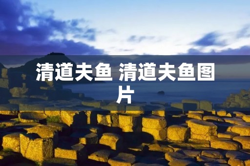 清道夫鱼 清道夫鱼图片