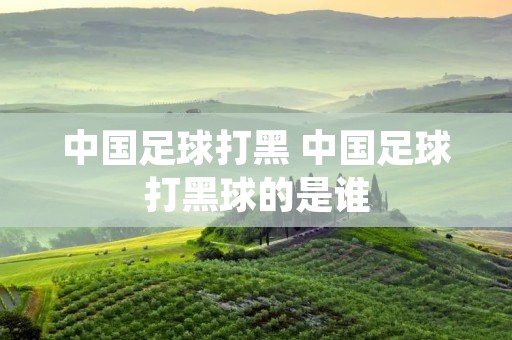 中国足球打黑 中国足球打黑球的是谁