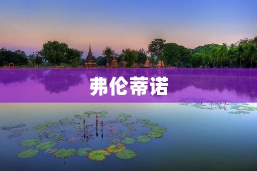 弗伦蒂诺:足球皇马的掌舵人 弗伦蒂诺:足球皇马的掌舵人