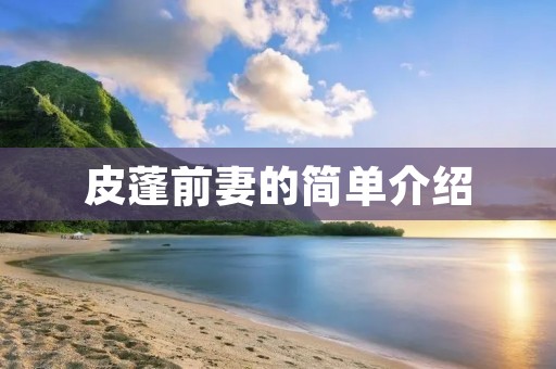 皮蓬前妻的简单介绍