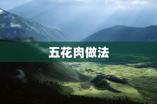 五花肉做法：酱香烤五花肉