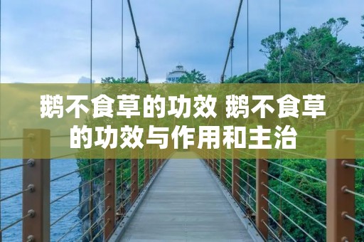 鹅不食草的功效 鹅不食草的功效与作用和主治