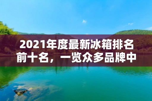 2021年度最新冰箱排名前十名，一览众多品牌中的佼佼者