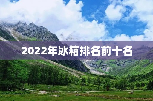 2022年冰箱排名前十名：买冰箱前必看！600字详细解析