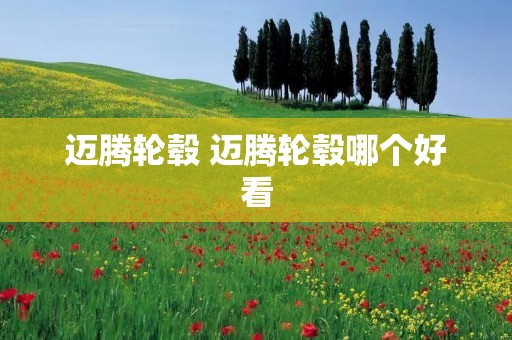 迈腾轮毂 迈腾轮毂哪个好看
