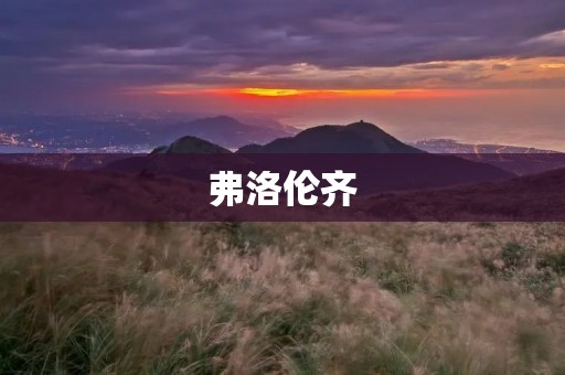 弗洛伦齐:文艺复兴的摇篮 弗洛伦齐:文艺复兴的摇篮