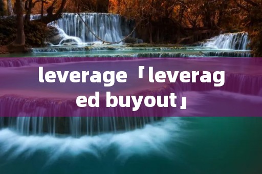 leverage「leveraged buyout」