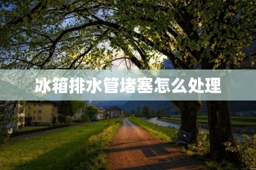 冰箱排水管堵塞怎么处理 冰箱排水管堵塞怎么处理