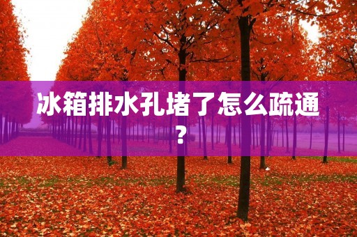 冰箱排水孔堵了怎么疏通？