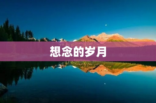 想念的岁月