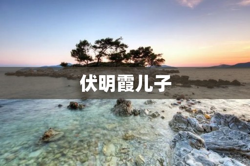 伏明霞儿子：一个成长在光环下的少年