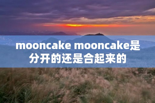 mooncake mooncake是分开的还是合起来的