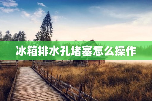 冰箱排水孔堵塞怎么操作 冰箱排水孔堵塞怎么操作