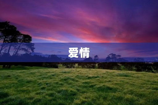爱情:唯美而又复杂的人类情感之谜
