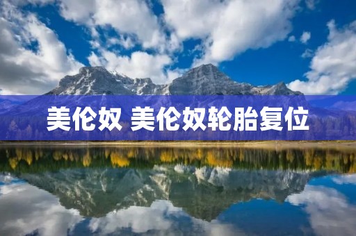 美伦奴 美伦奴轮胎复位