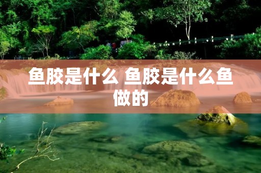 鱼胶是什么 鱼胶是什么鱼做的