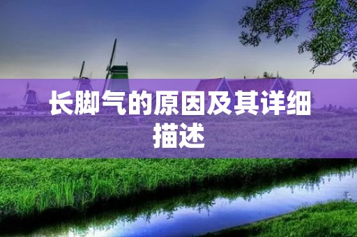 长脚气的原因及其详细描述