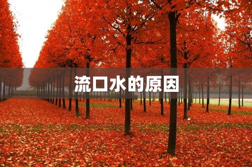 流口水的原因:解析唾液的分泌机制及相关影响因素