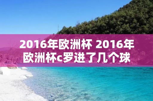 2016年欧洲杯 2016年欧洲杯c罗进了几个球